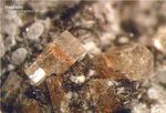 Eifel Mineralien Nickenicher Sattel Nephelin
