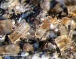 Eifel Mineralien Nickenicher Sattel Nephelin