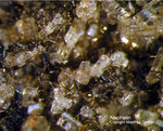 Eifel Mineralien Nickenicher Sattel Nephelin