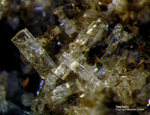 Eifel Mineralien Nickenicher Sattel Nephelin