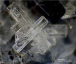 Eifel Mineralien Nickenicher Sattel Nephelin