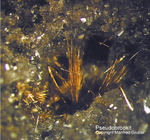 Eifel Mineralien Nickenicher Sattel Pseudobrookit
