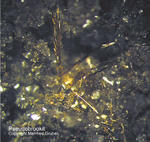Eifel Mineralien Nickenicher Sattel Pseudobrookit