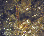 Eifel Mineralien Nickenicher Sattel Pseudobrookit