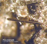 Eifel Mineralien Nickenicher Sattel Pseudobrookit