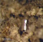 Eifel Mineralien Nickenicher Sattel Pseudobrookit