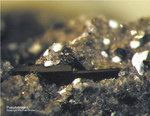 Eifel Mineralien Nickenicher Sattel Pseudobrookit