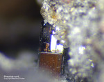 Eifel Mineralien Nickenicher Sattel Pseudobrookit