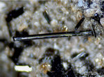 Eifel Mineralien Nickenicher Sattel Pseudobrookit