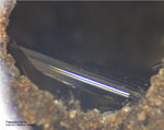 Eifel Mineralien Nickenicher Sattel Pseudobrookit