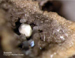 Eifel Mineralien Nickenicher Sattel Sodalith