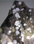 Eifel Mineralien Nickenicher Sattel Sodalith