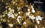 Eifel Mineralien Nickenicher Sattel Sodalith