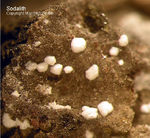 Eifel Mineralien Nickenicher Sattel Sodalith