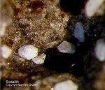 Eifel Mineralien Nickenicher Sattel Sodalith