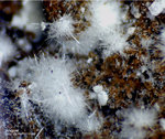 Eifel Mineralien Rothenberg Aragonit