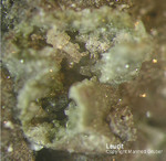 Eifel Mineralien Rothenberg Leucit