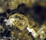 Eifel Mineralien Rothenberg Leucit