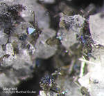 Eifel Mineralien Rothenberg Magnetit