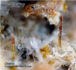 Eifel Mineralien Rothenberg Obertiit
