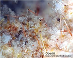 Eifel Mineralien Rothenberg Obertiit
