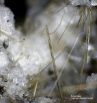 Eifel Mineralien Wannenköpfe Amphibol
