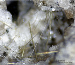 Eifel Mineralien Wannenköpfe Amphibol