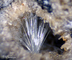Eifel Mineralien Wannenköpfe Aragonit