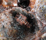 Eifel Mineralien Wannenköpfe Haematit