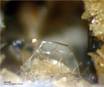 Eifel Mineralien Wannenköpfe Sanidin