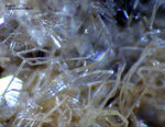 Eifel Mineralien Wannenköpfe Sanidin