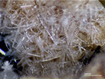 Eifel Mineralien Wannenköpfe Sanidin