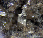 Eifel Mineralien Wannenköpfe Sodalith