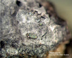 Eifel Mineralien Bellerberg Chalkopyrit