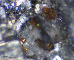Eifel Mineralien Bellerberg Forsterit