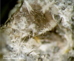 Eifel Mineralien Bellerberg Götzenit