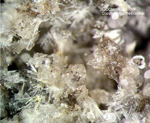 Eifel Mineralien Bellerberg Götzenit