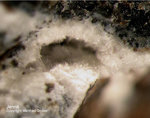 Eifel Mineralien Bellerberg Jennit