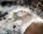 Eifel Mineralien Bellerberg Jennit