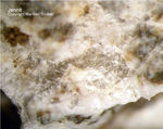 Eifel Mineralien Bellerberg Jennit