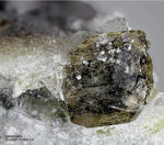 Eifel Mineralien Bellerberg Monticellit