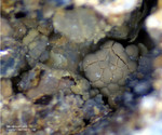 Eifel Mineralien Bellerberg Montmorillonit