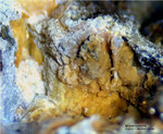 Eifel Mineralien Bellerberg Montmorillonit