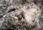Eifel Mineralien Bellerberg Sanidin