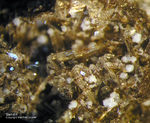 Eifel Mineralien Bellerberg Sanidin
