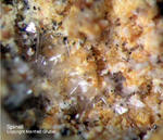 Eifel Mineralien Bellerberg Spinell