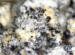 Eifel Mineralien Bellerberg Spinell