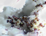 Eifel Mineralien Bellerberg Spinell
