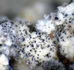 Eifel Mineralien Bellerberg Spinell