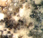 Eifel Mineralien Bellerberg Srebrodolskit